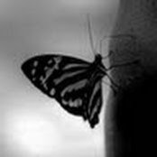 Michelle's photo