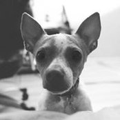 Gurk Gurk's photo