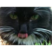Barbara Stein's photo