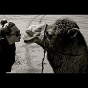 Rosie Schloeffel's photo