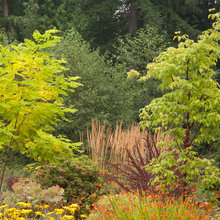 Garden - Design