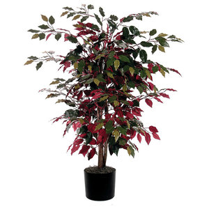 Vickerman Christmas Trees TBU0240-06 Ficus Variegated Bush Tree in Pot 4-Feet Green//White