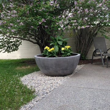 Willow Park Backyard
