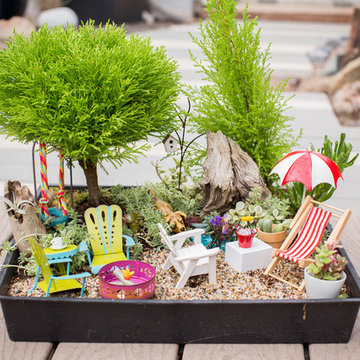 Miniature Garden Design