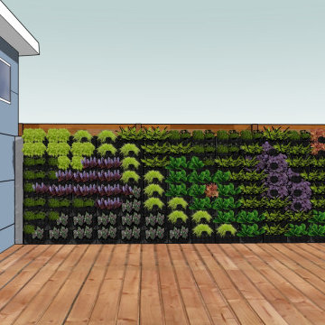 Vertical Garden Wall
