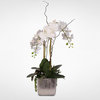 Real Touch White Orchid and Succulent Arrangement