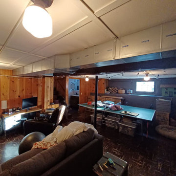 Complete Basement Gut and Remodel