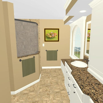 Master Bathroom Re-Design in Belleville, IL