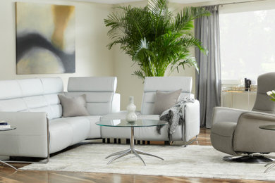 Example of a living room design in New York