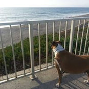 Jay Jarrell's photo