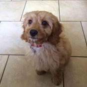 Alex McNally's photo