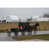 Jill Larson's photo