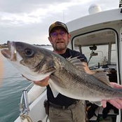William Pelloin's photo