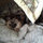 ashley_smith5923