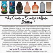 Melissa Moench's photo