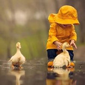 Faiyaz Uddin's photo