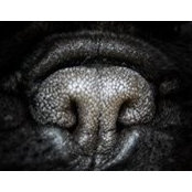 Димитър Георгиев's photo