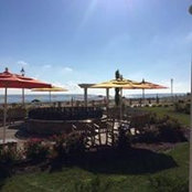 Alex Corso's photo