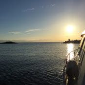 Matt Wray's photo