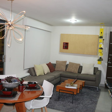 Departamentos modelo ZIRCON