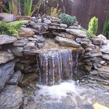 garden & landscaping