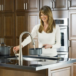 Moen Arbor Classic stainless one-handle high arc pulldown kitchen faucet - Kitchen Faucets