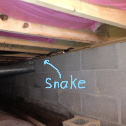 Crawl space, I could name a lot of creatures we find but I wont - Products