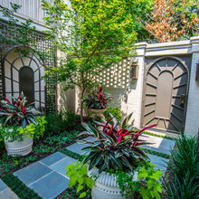 landscape plants