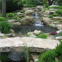 Outdoor garden