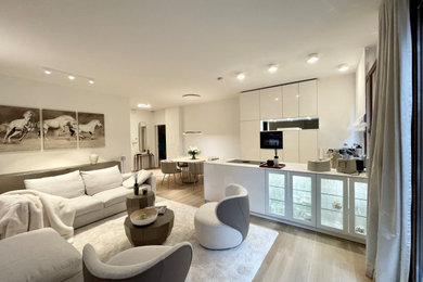 Modernes Wohnzimmer in Frankfurt am Main