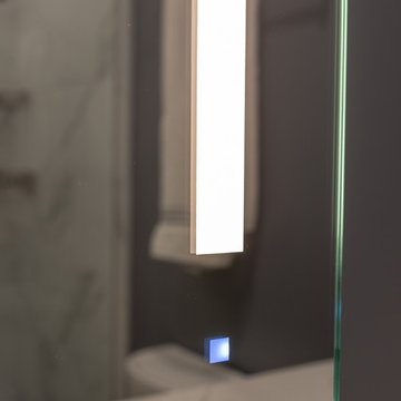 Wilmette Closet Conversion Bathroom