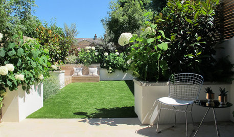 6 Simple Layout and Design Ideas to Enhance Your Small Garden