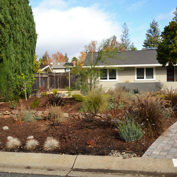 Modern Desert Style: a Water-Wise Front Yard Patio & Garden