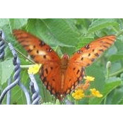 Sandra Barham's photo