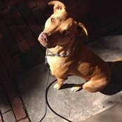 Jennifer Murphy's photo
