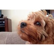 Pam Miles's photo