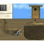محرز بلحسن's photo