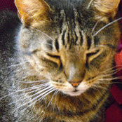 Brooke Peterson's photo
