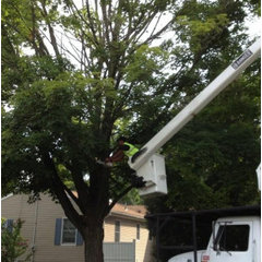 Affordable Landscaping & Tree Service LLC