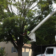 Foto de Affordable Landscaping & Tree Service LLC