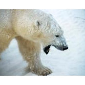 никита ковалев's photo