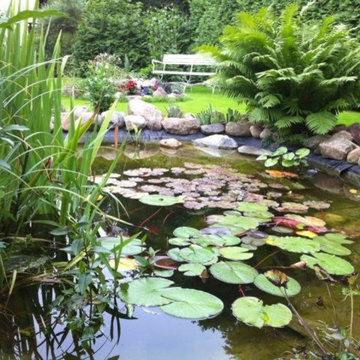 Gartenteiche