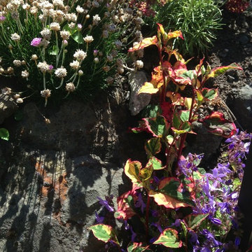 Golden Gardens Bluff