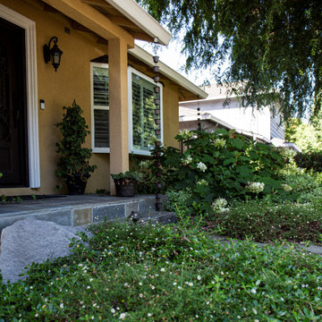 Low Water Landscape Rebate - Willow Glen