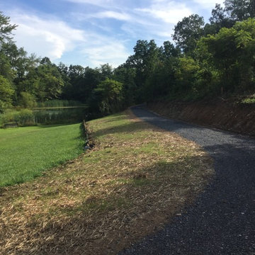 Land clearing to put in driveway
