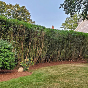 Gardens & Walkways Refresh, Scituate, MA