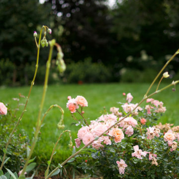 Atherton Pollinator Haven