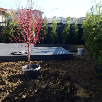 Koch Residence - Benicia- Under Construction