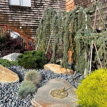 Peaceful, Sustainable Rock Garden