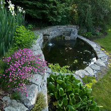 pond